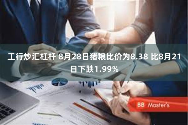 工行炒汇杠杆 8月28日猪粮比价为8.38 比8月21日下跌1.99%