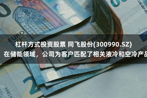 杠杆方式投资股票 同飞股份(300990.SZ)：在储能领域，公司为客户匹配了相关液冷和空冷产品