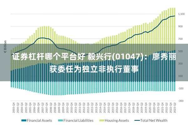 证券杠杆哪个平台好 毅兴行(01047)：廖秀丽获委任为独立非执行董事