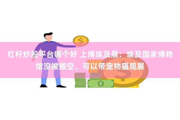 杠杆炒股平台哪个好 上博埃及展：埃及国家博物馆没被搬空，可以带宠物猫观展