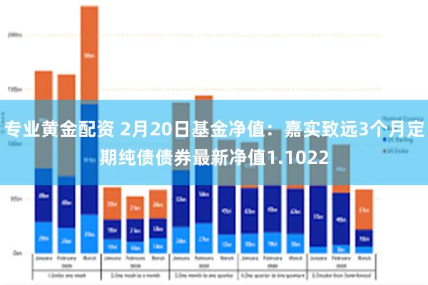 专业黄金配资 2月20日基金净值：嘉实致远3个月定期纯债债券最新净值1.1022