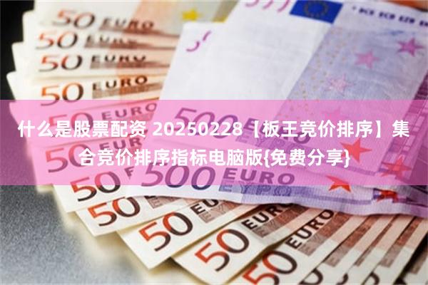 什么是股票配资 20250228【板王竞价排序】集合竞价排序指标电脑版{免费分享}