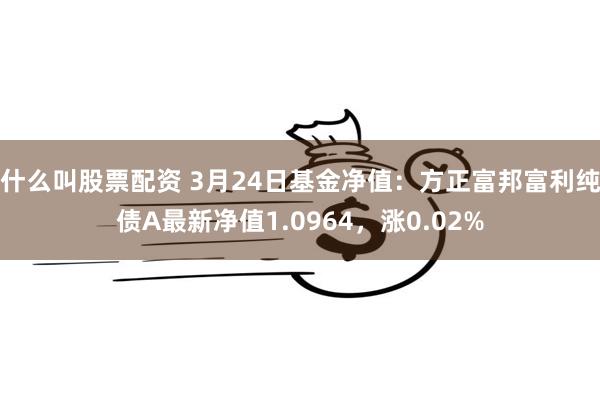 什么叫股票配资 3月24日基金净值：方正富邦富利纯债A最新净