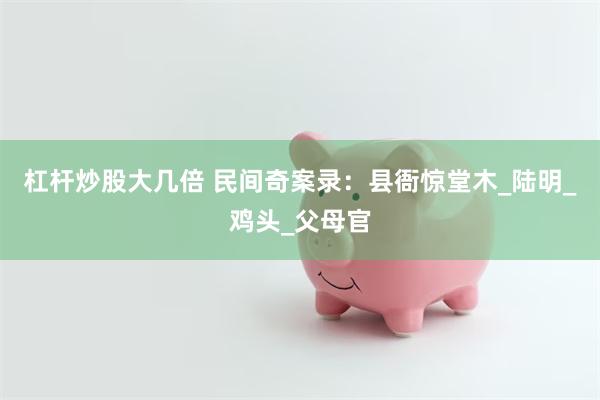 杠杆炒股大几倍 民间奇案录：县衙惊堂木_陆明_鸡头_父母官
