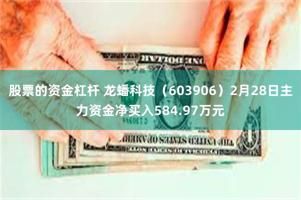 股票的资金杠杆 龙蟠科技（603906）2月28日主力资金净