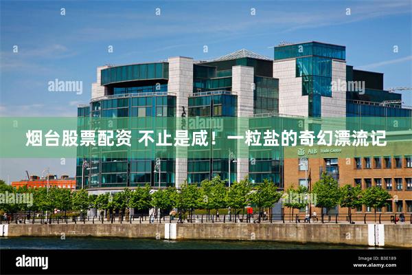 烟台股票配资 不止是咸！一粒盐的奇幻漂流记
