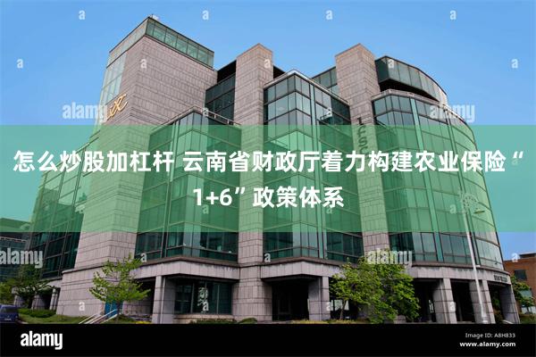 怎么炒股加杠杆 云南省财政厅着力构建农业保险“1+6”政策体