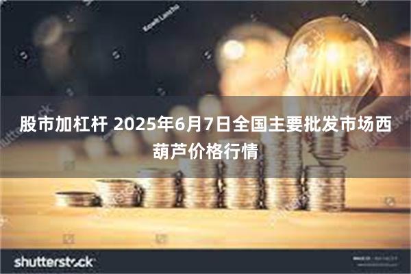 股市加杠杆 2025年6月7日全国主要批发市场西葫芦价格行情