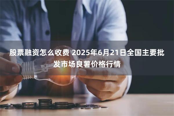 股票融资怎么收费 2025年6月21日全国主要批发市场良薯价格行情