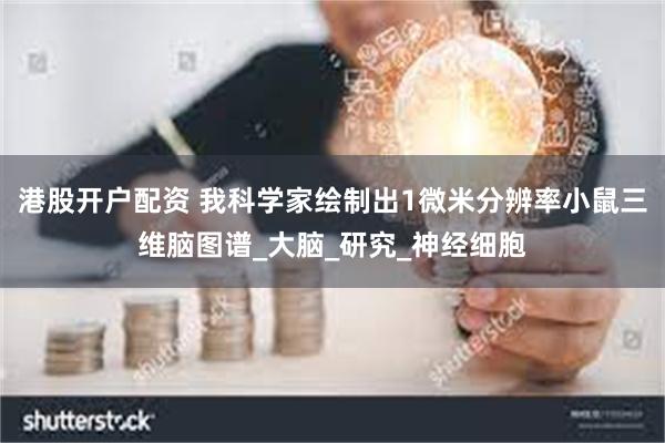 港股开户配资 我科学家绘制出1微米分辨率小鼠三维脑图谱_大脑